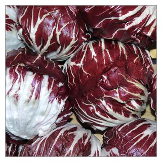 Radicchio