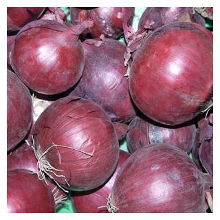 Zwiebel rot