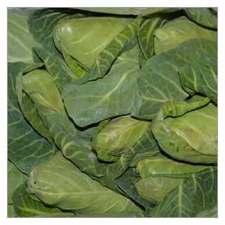 Spitzkohl [kg-Preis]