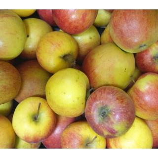 Apfel Natyra
