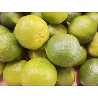 Limetten Brasilien