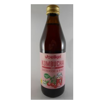 Kombucha Sauerkirsche Minze