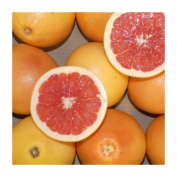 Grapefruit rot Star Ruby Südafrika