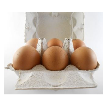 Eier - 6er-Packung - Größe S