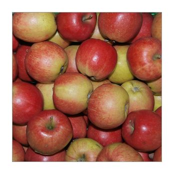 Apfel Red Jonaprince Deutschland