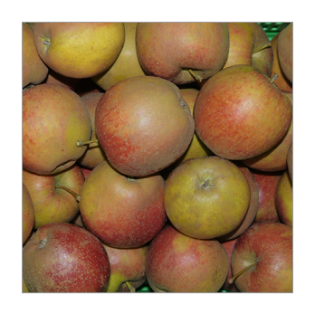 Apfel Marnica Deutschland