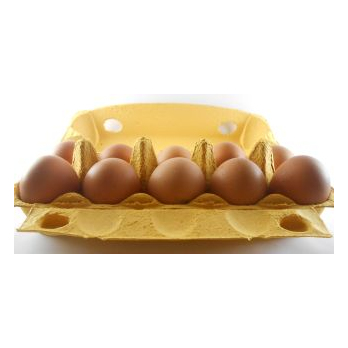 Eier - 10er-Packung - Größe L