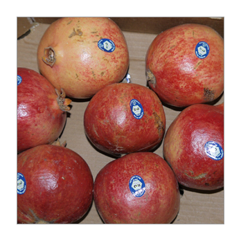 Granatapfel [kg-Preis]