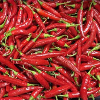 Chili