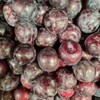 Pflaume rot Griechenland