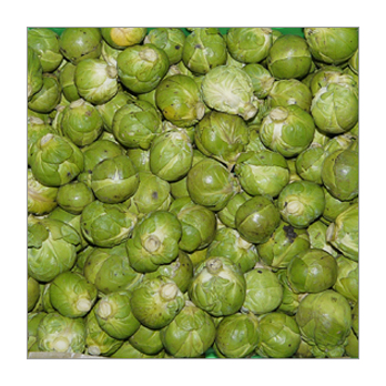 Rosenkohl Deutschland