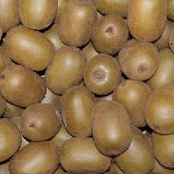 Kiwi Gold Italien