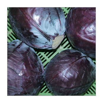 Rotkohl Deutschland