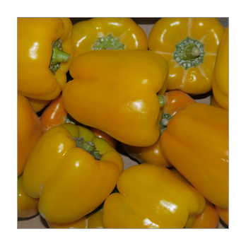 Paprika gelb