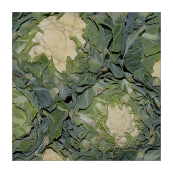 Blumenkohl Frankreich