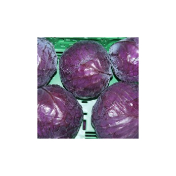 Rotkohl