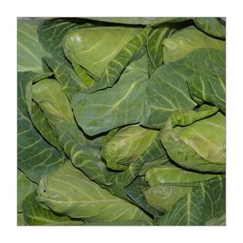 Spitzkohl [kg-Preis]