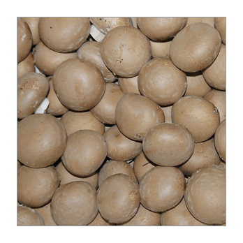 Champignons creme
