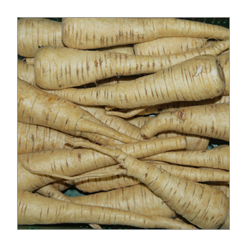 Pastinake