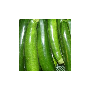 Zucchini