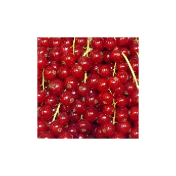 Johannisbeeren rot ca.250g [kg-Preis]