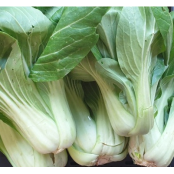 Pak Choi