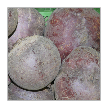 Rote Bete