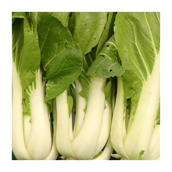 Pak Choi