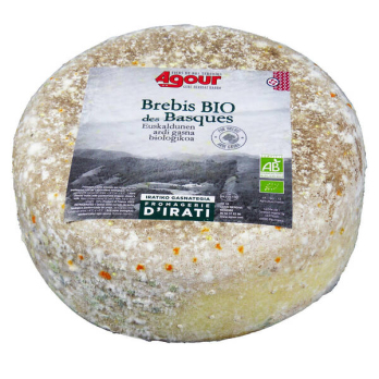 Brebis des Basques