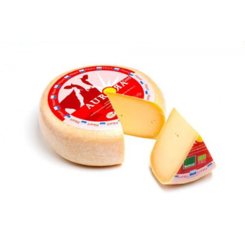 Gouda mittelalt
