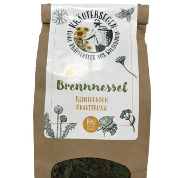 Brennnessel