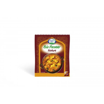 Indian Paneer Käse