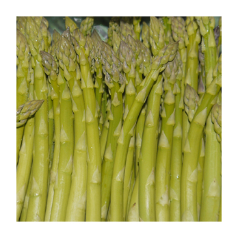 Spargel grün